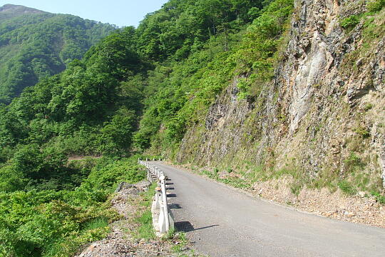 林道冠山線 Point４〜５間 の写真(83) 2008年05月18日