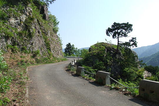 林道冠山線 Point４〜５間 の写真(85) 2008年05月18日