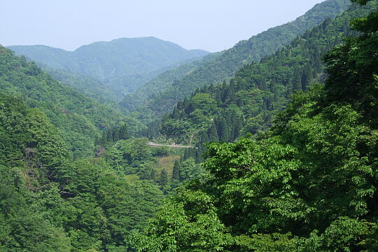 林道冠山線 Point７ の写真(83) 2008年05月18日