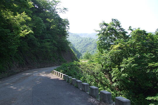 林道冠山線 Point７ の写真(84) 2008年05月18日