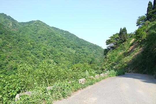 林道冠山線 Point８ の写真(81) 2008年05月18日