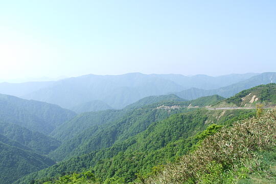 林道冠山線 岐阜県側 の写真(82) 2008年05月18日