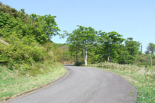 林道冠山線 岐阜県側 の写真(85) 2008年05月18日