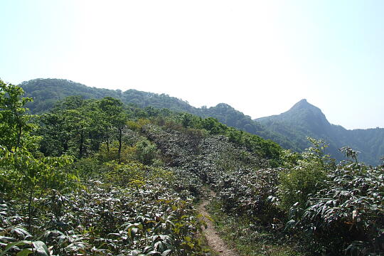 林道冠山線 冠山 の写真(81) 2008年05月18日