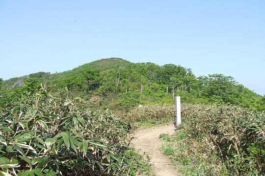 林道冠山線 冠山 の写真(82) 2008年05月18日