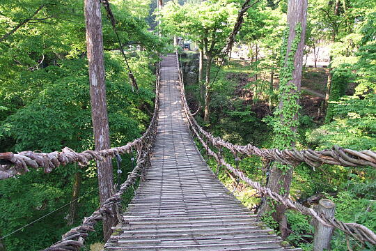 かずら橋 の写真(87) 2008年05月18日