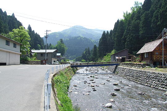 大本渓流館 の写真(87) 2008年05月18日