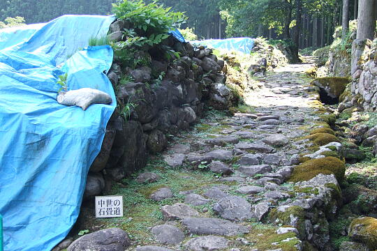 平泉寺南谷坊院跡 の写真(82) 2008年07月21日