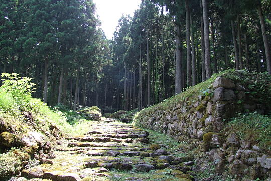 平泉寺南谷坊院跡 の写真(83) 2008年07月21日