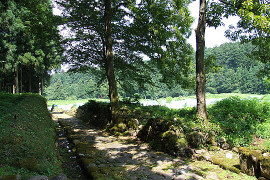 平泉寺南谷坊院跡 の写真(85) 2008年07月21日