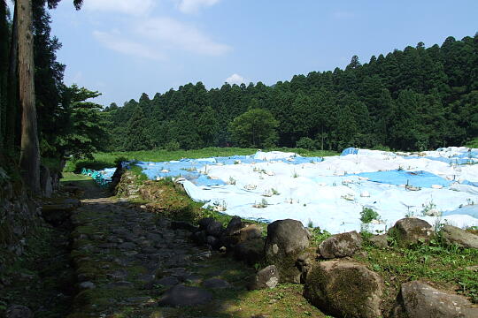 平泉寺南谷坊院跡 の写真(86) 2008年07月21日