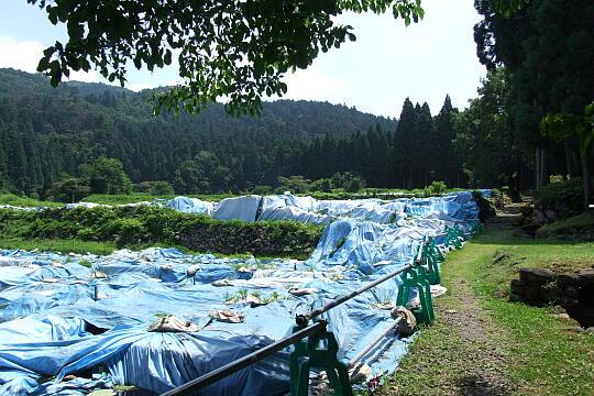 平泉寺南谷坊院跡 の写真(87) 2008年07月21日