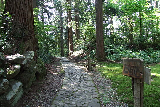 平泉寺南谷坊院跡 の写真(88) 2008年07月21日