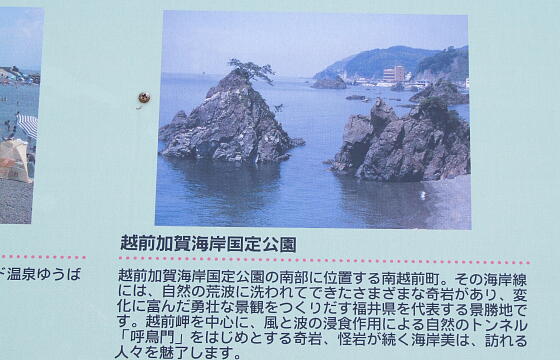 えちぜん・河野しおかぜライン（旧河野海岸有料道路)河野側２ の写真(89) 2007年08月26日