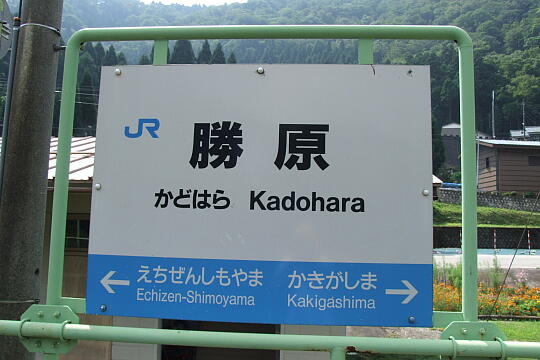 勝原駅 の写真(82) 2008年09月14日