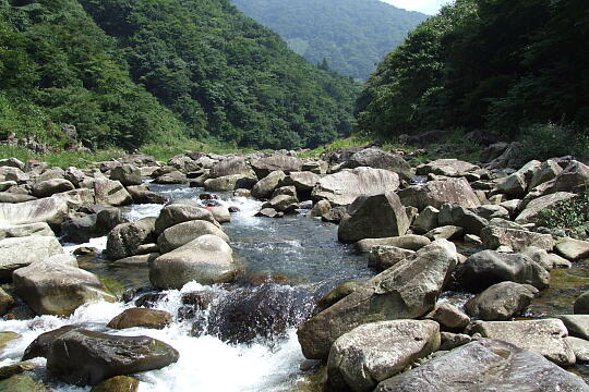 九頭竜峡・魚止（河原） の写真(86) 2008年09月14日