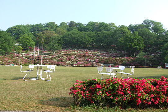 西山公園 さばえつつじまつり（１） の写真(82) 2007年05月03日