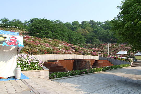 西山公園 さばえつつじまつり（１） の写真(84) 2007年05月03日