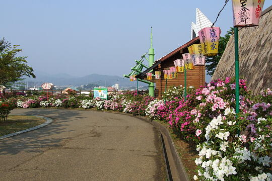 西山公園 さばえつつじまつり（３） の写真(81) 2007年05月03日