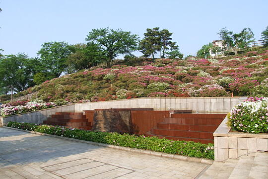 西山公園 さばえつつじまつり（３） の写真(84) 2007年05月03日