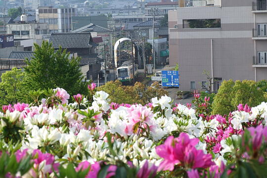 西山公園 さばえつつじまつり（３） の写真(86) 2007年05月03日