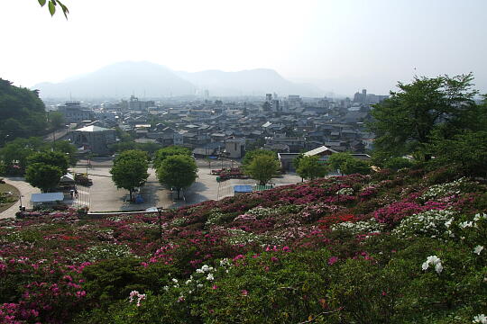 西山公園 さばえつつじまつり（３） の写真(88) 2007年05月03日