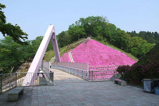 西山公園 その他 の写真(85) 2007年05月03日