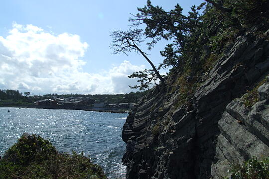 越前松島（２） の写真(82) 2006年09月03日