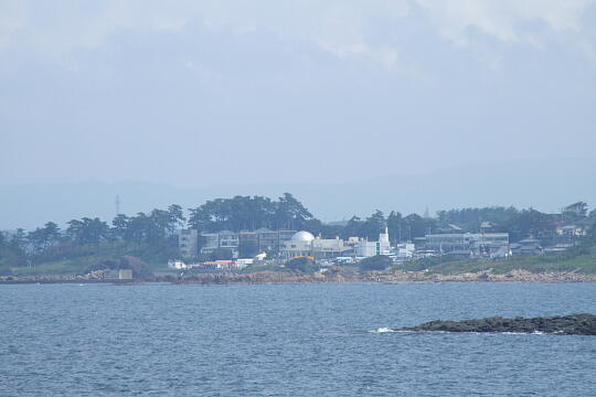 雄島（２）磁石岩付近 の写真(87) 2008年09月14日