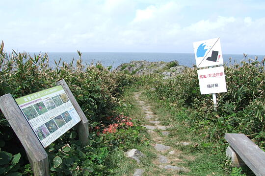 雄島（３） の写真(82) 2008年09月14日