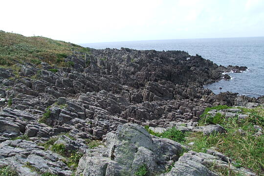 雄島（３） の写真(85) 2008年09月14日