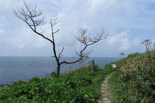 雄島（４） の写真(87) 2008年09月14日