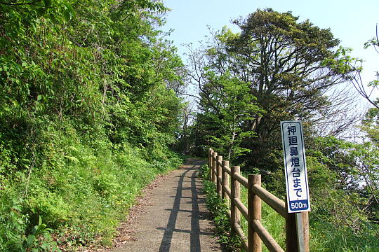 音海遊歩道 の写真(83) 2000年99月99日