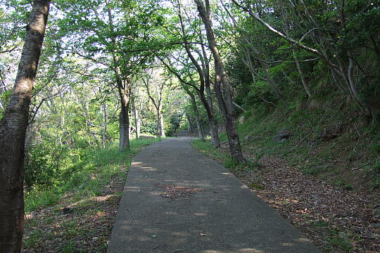 音海遊歩道 の写真(84) 2000年99月99日