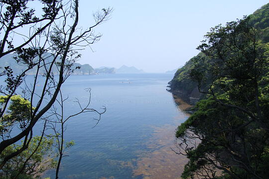 音海遊歩道 の写真(87) 2000年99月99日