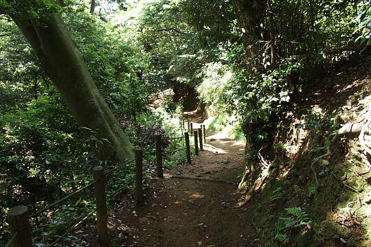 城山公園（２） の写真(86) 2005年06月05日