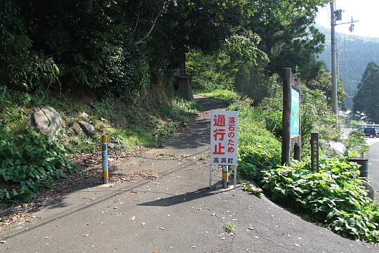 音海遊歩道 の写真(81) 2007年05月04日