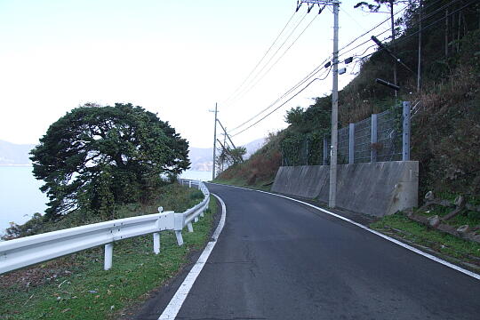 鳥辺島 の写真(84) 2007年11月25日