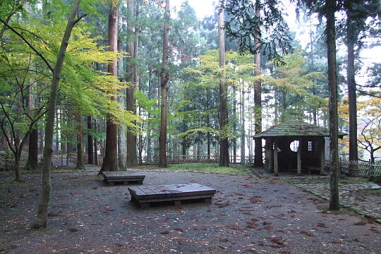 瓜割の滝（若狭瓜割名水公園） の写真(82) 2007年11月25日