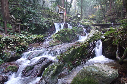 瓜割の滝（若狭瓜割名水公園） の写真(83) 2007年11月25日