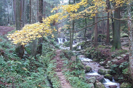 瓜割の滝（若狭瓜割名水公園） の写真(86) 2007年11月25日