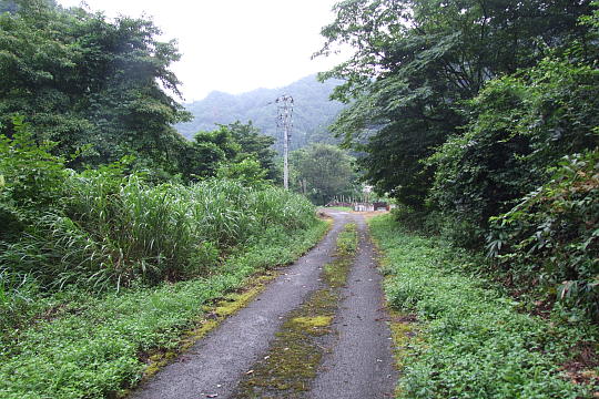 小刀根トンネル の写真(87) 2010年08月15日