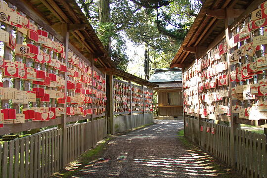 気多大社 えんむすび の写真(84) 2006年05月04日