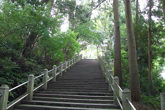 白山比咩神社（しらやまさん）の参道 の写真(81) 2007年09月29日