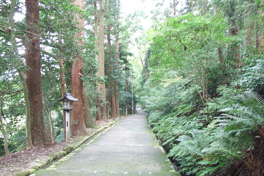 白山比咩神社（しらやまさん）の参道 の写真(82) 2007年09月29日