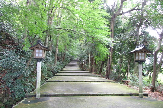 白山比咩神社（しらやまさん）の参道 の写真(85) 2007年09月29日