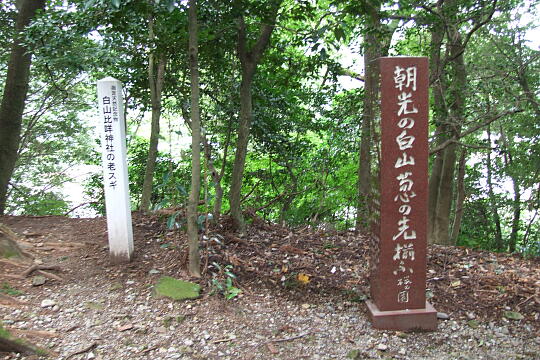 白山比咩神社（しらやまさん）の参道 の写真(86) 2007年09月29日