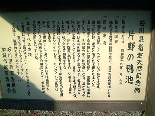 鴨池観察館 の写真(82) 2002年12月01日