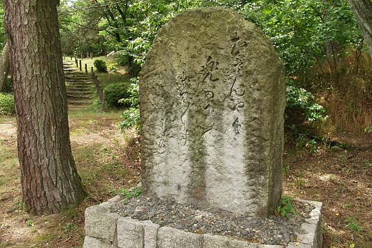 首洗い池（手塚山公園） の写真(87) 2005年06月12日