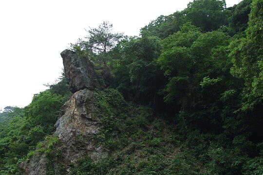 烏帽子岩 の写真(81) 2008年06月08日